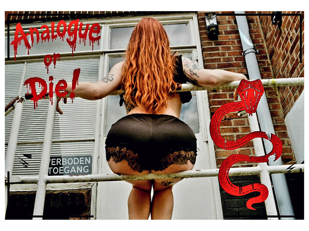 Analogue or Die! Limited Run Signed Prints – foto 17