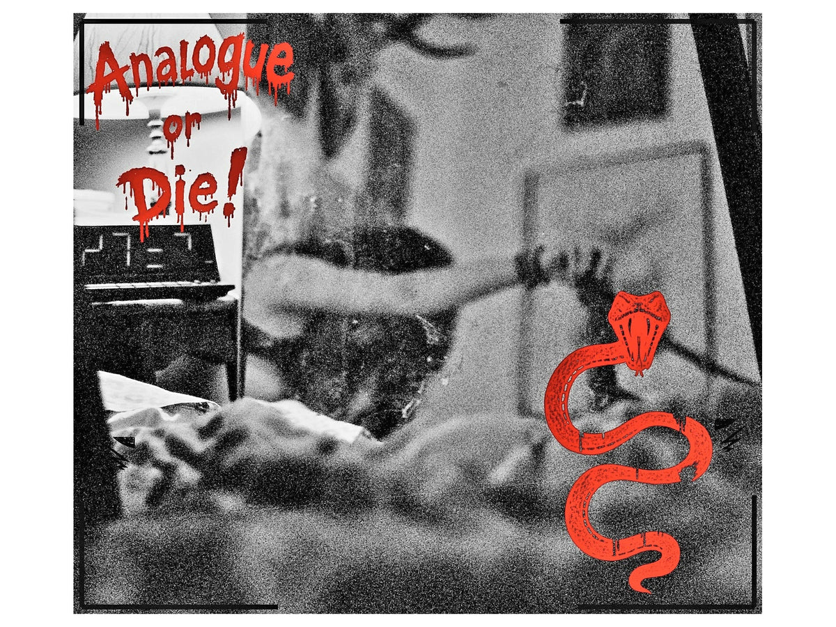 Analogue or Die! Limited Run Signed Prints – foto 16