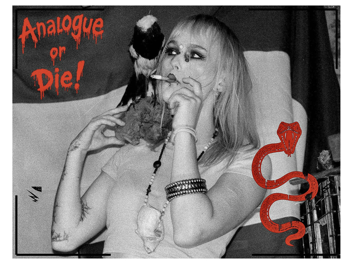Analogue or Die! Limited Run Signed Prints – foto 14