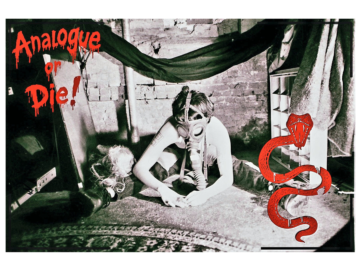 Analogue or Die! Limited Run Signed Prints – foto 13