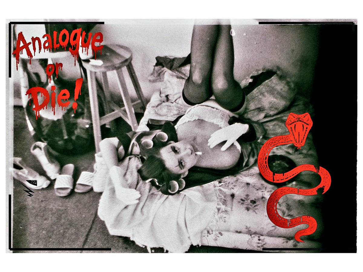 Analogue or Die! Limited Run Signed Prints – foto 20