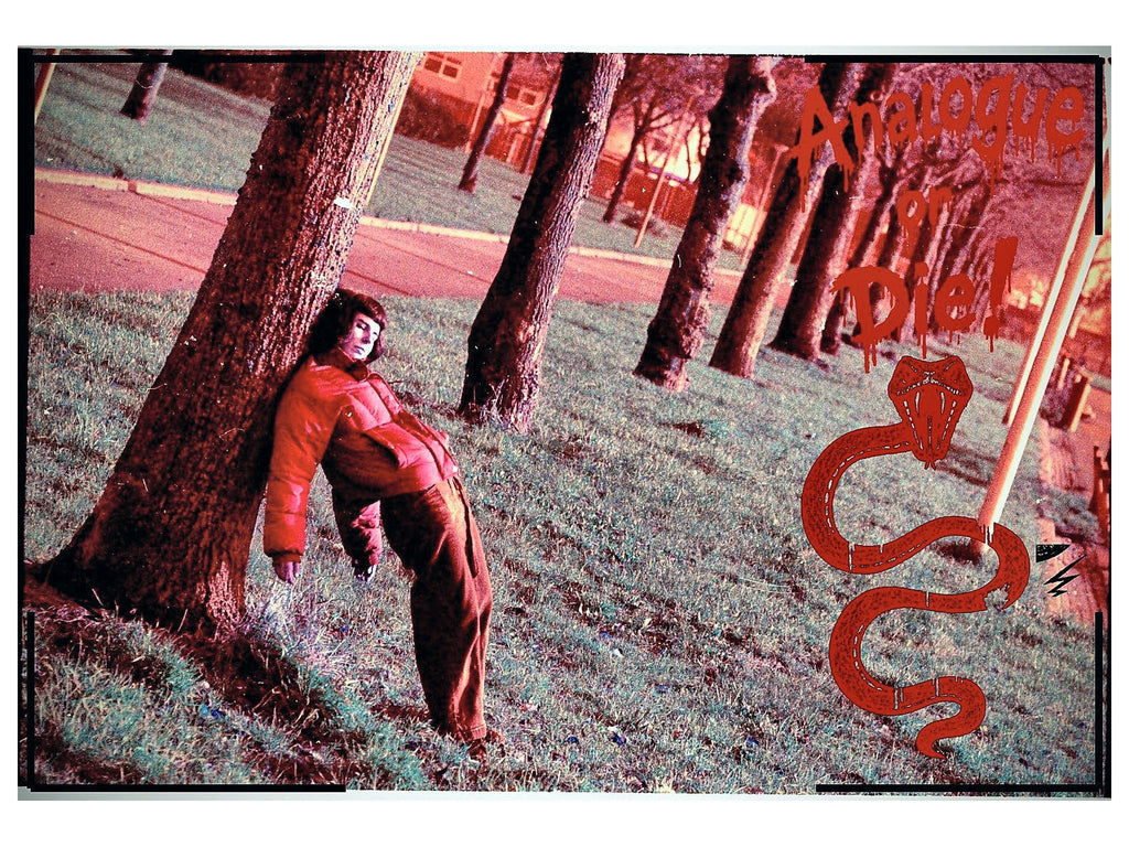 Analogue or Die! Limited Run Signed Prints – foto 18