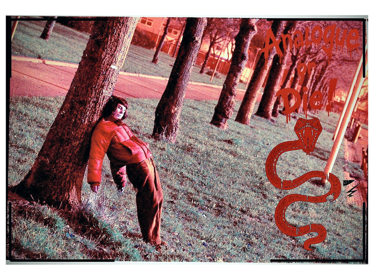 Analogue or Die! Limited Run Signed Prints – foto 18