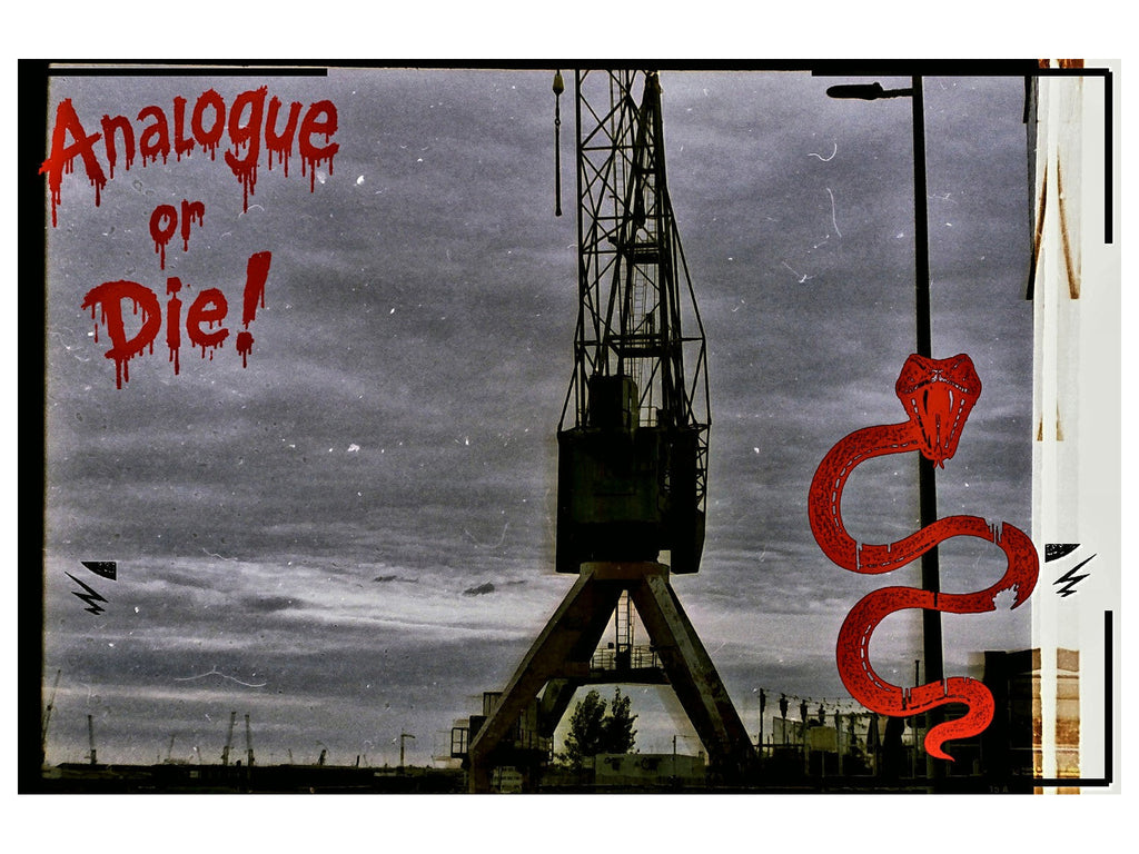 Analogue or Die! Limited Run Signed Prints – foto 7