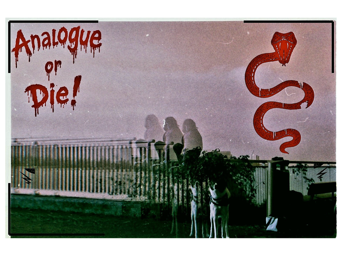 Analogue or Die! Limited Run Signed Prints – foto 5
