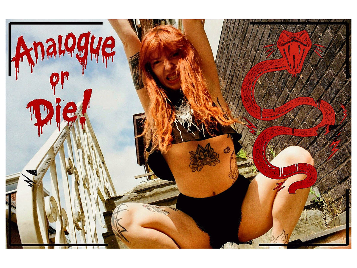 Analogue or Die! Limited Run Signed Prints – foto 2