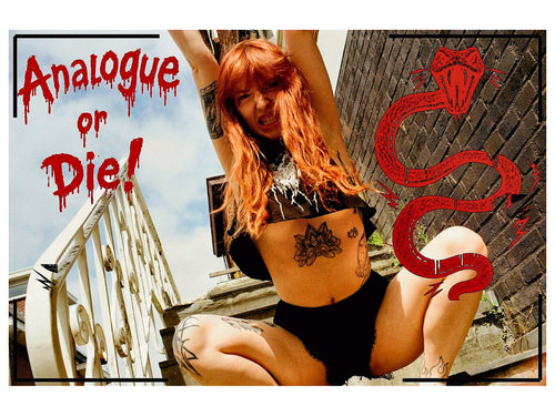Analogue or Die! Limited Run Signed Prints – foto 2