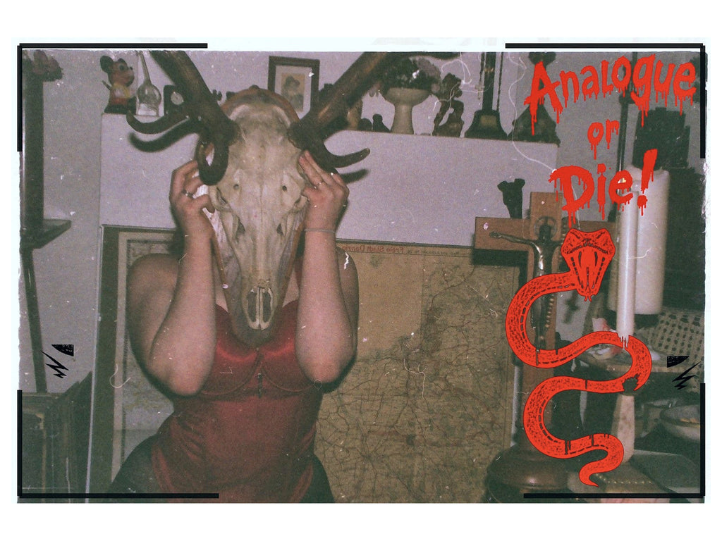 Analogue or Die! Limited Run Signed Prints – foto 4