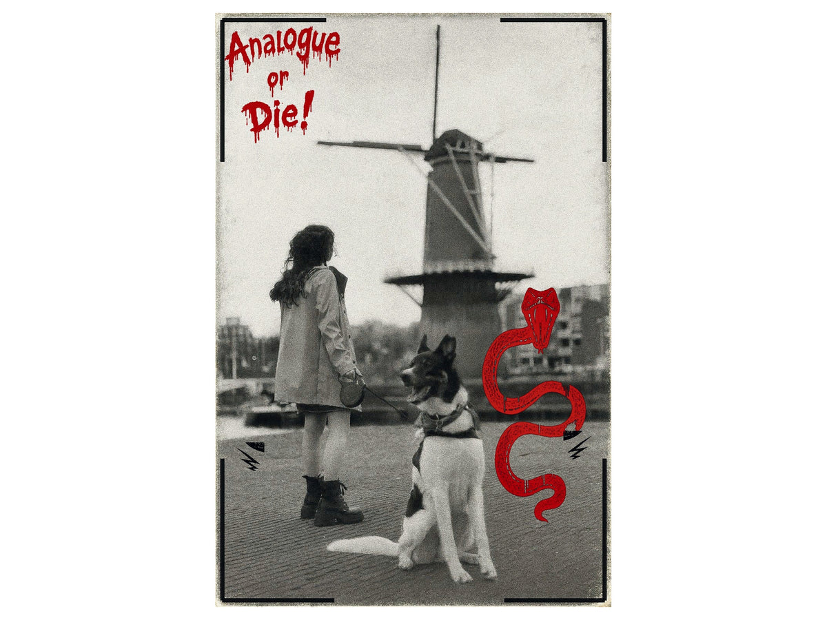 Analogue or Die! Limited Run Signed Prints – foto 10