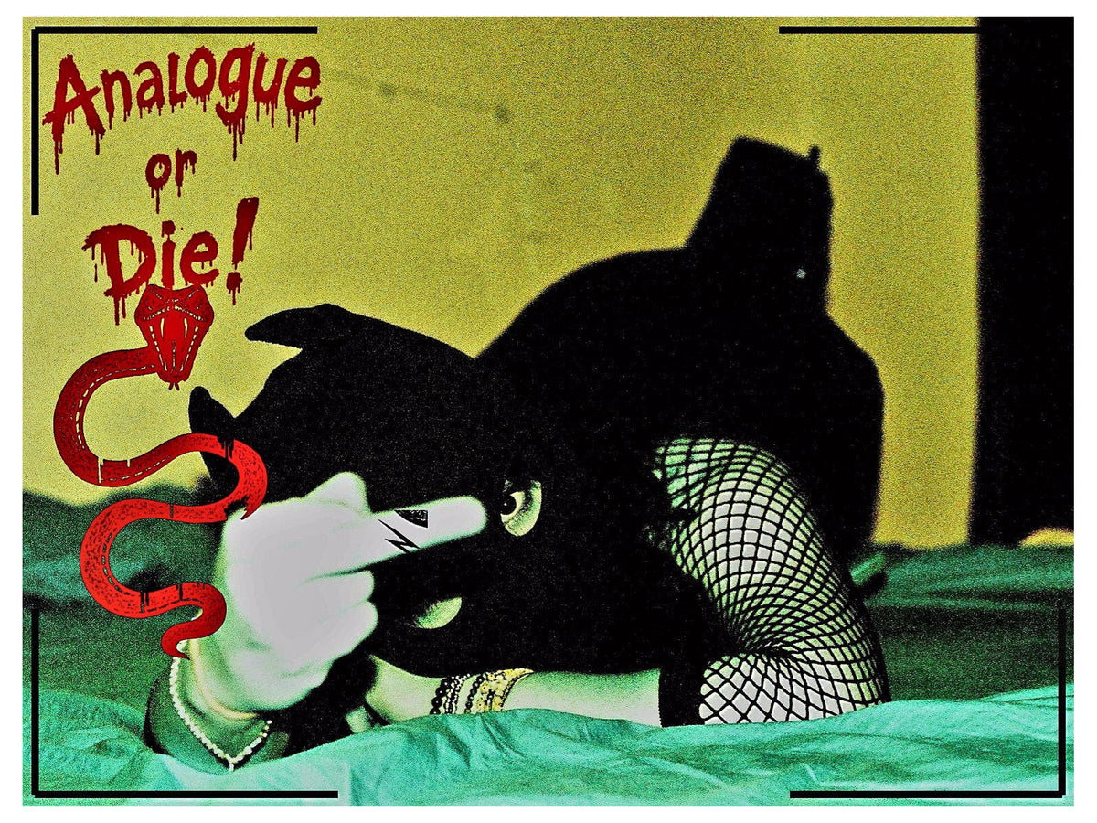 Analogue or Die! Limited Run Signed Prints – foto 1
