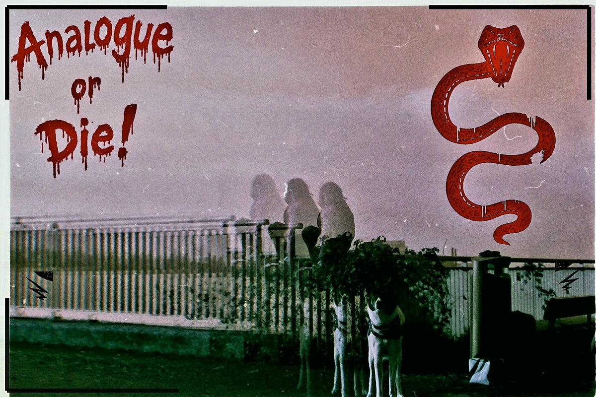 Analogue or Die! Limited Run Signed Prints – foto 5