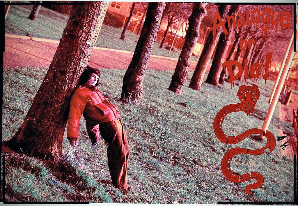 Analogue or Die! Limited Run Signed Prints – foto 18
