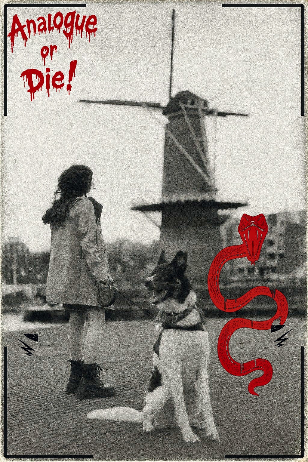 Analogue or Die! Limited Run Signed Prints – foto 10