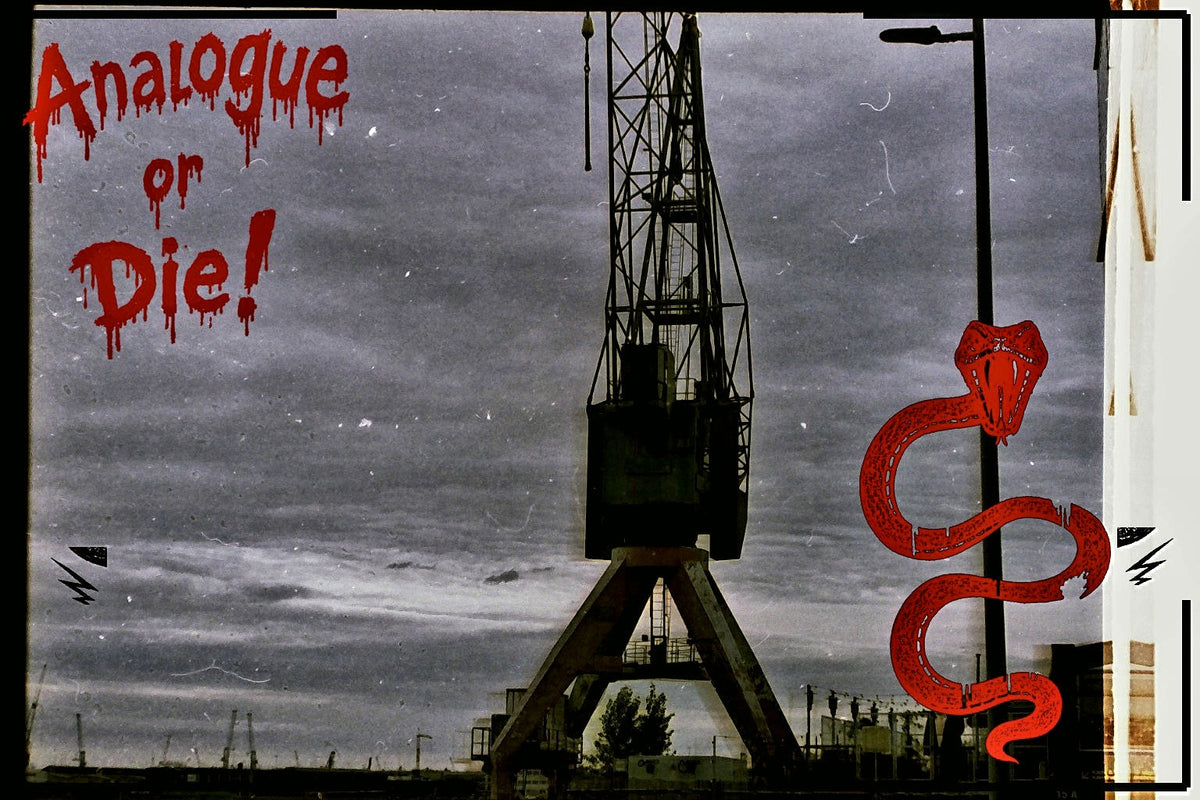 Analogue or Die! Limited Run Signed Prints – foto 7