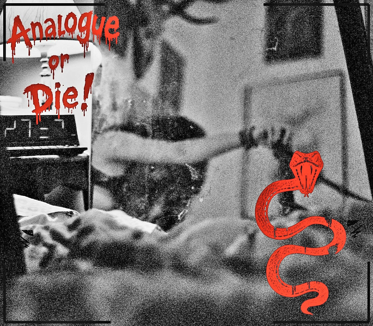 Analogue or Die! Limited Run Signed Prints – foto 16
