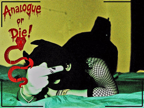 Analogue or Die! Limited Run Signed Prints – foto 1