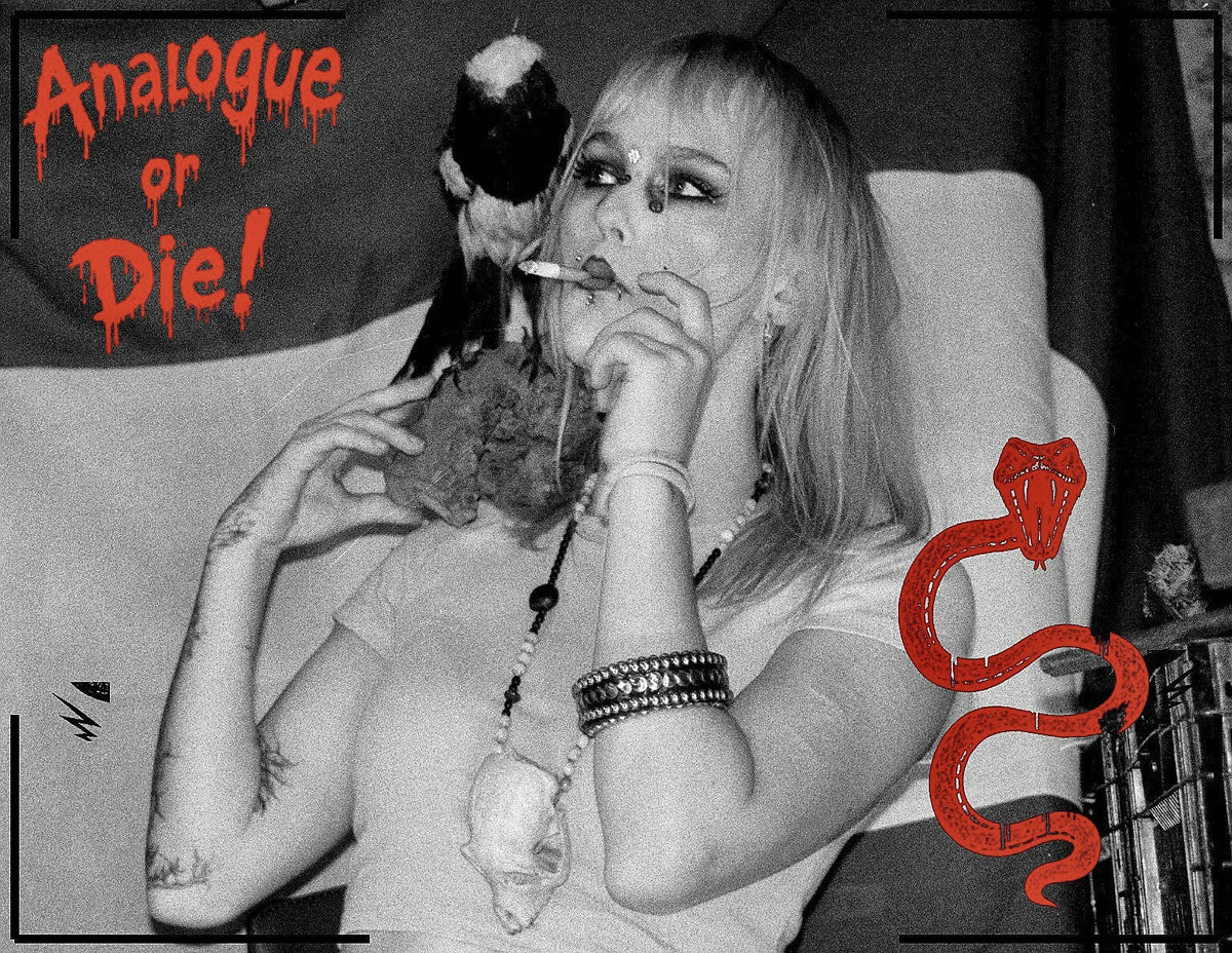 Analogue or Die! Limited Run Signed Prints – foto 14