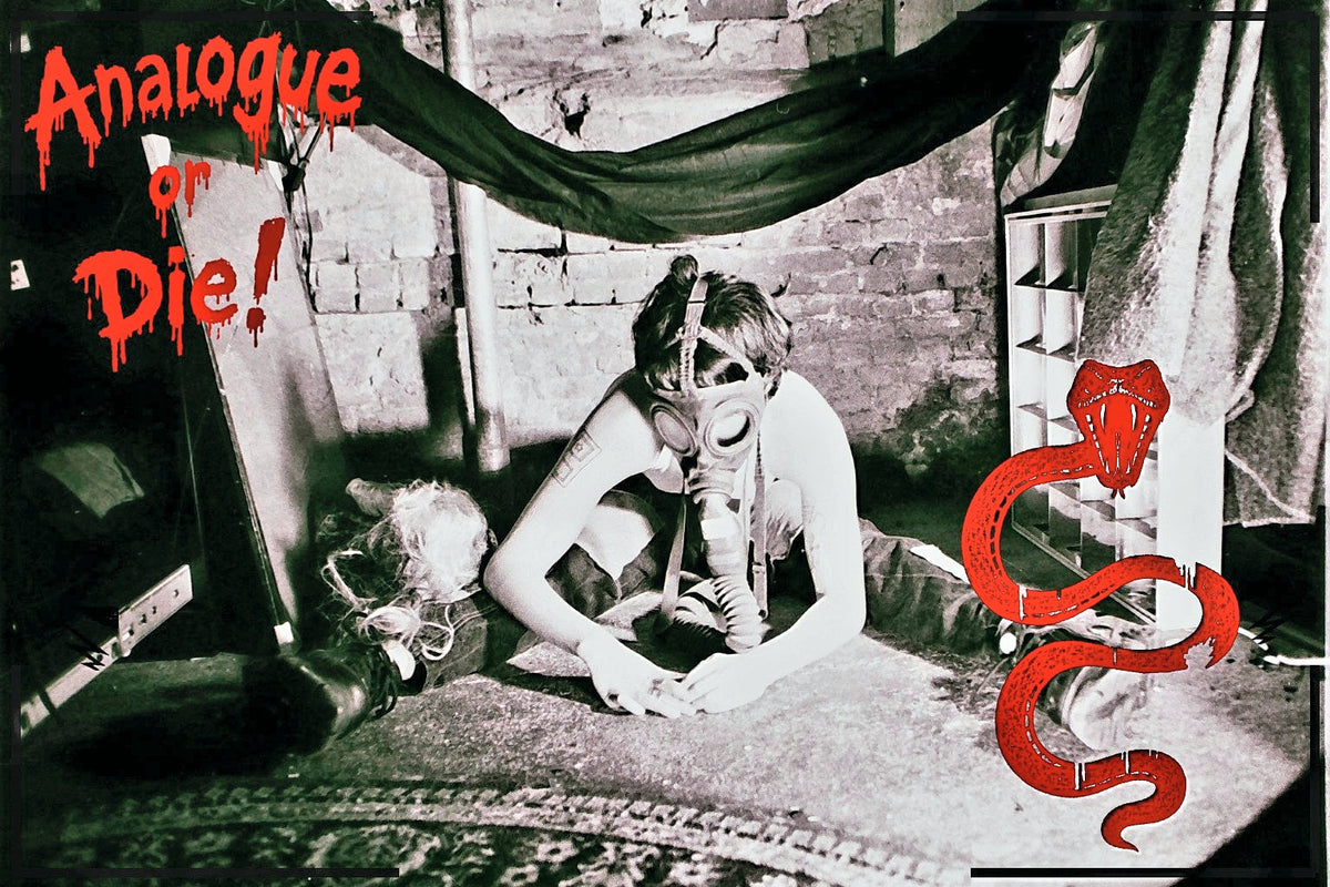 Analogue or Die! Limited Run Signed Prints – foto 13