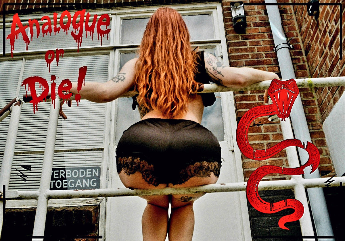 Analogue or Die! Limited Run Signed Prints – foto 17